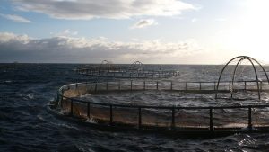 Pêche et Aquaculture en Tunisie Pêche et Aquaculture en Tunisie